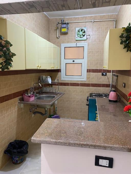 Steven Appartement